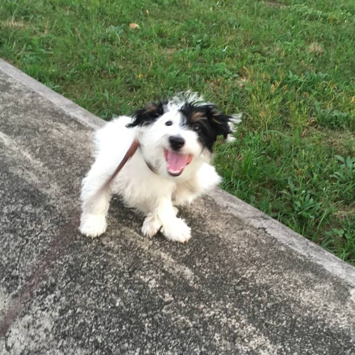 Cdfff8a8 9417 42cf 8a84 7da0acd1f9b8