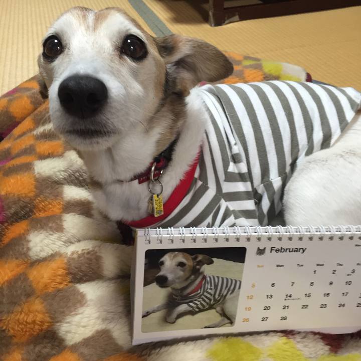 Ce0128b6 6bee 4129 9fd2 4f0f2a2e7200