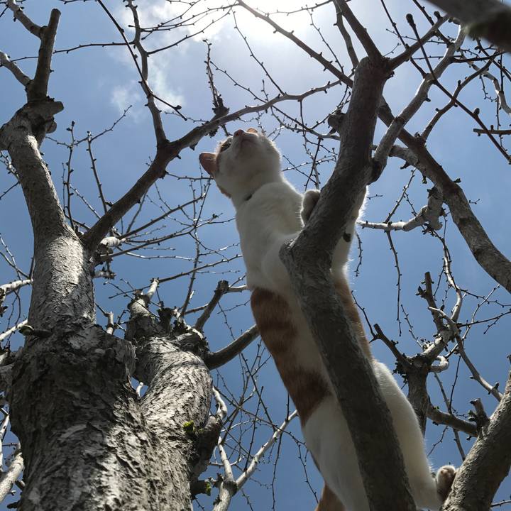 Ce01535c b396 4dce 9065 8f9cdbd68611