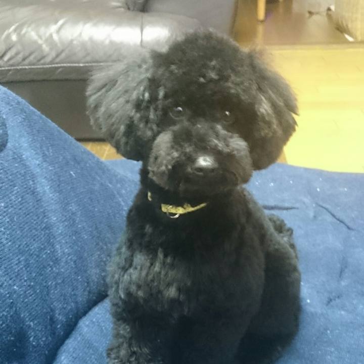 Ce017ec9 18b1 4764 8ab1 5f741e3aa2a4