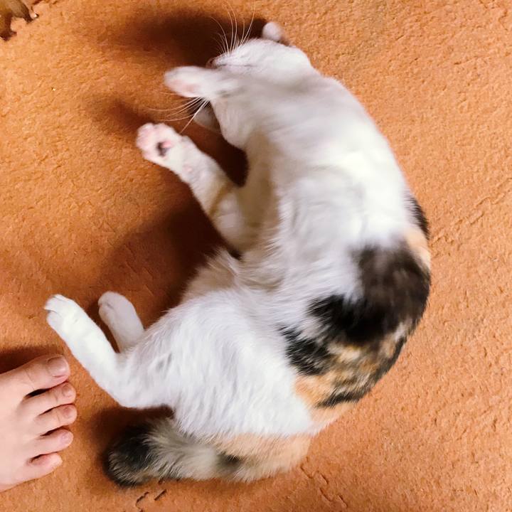 Ce023de5 0ccd 41ae 8fd3 9f1b52a2d711