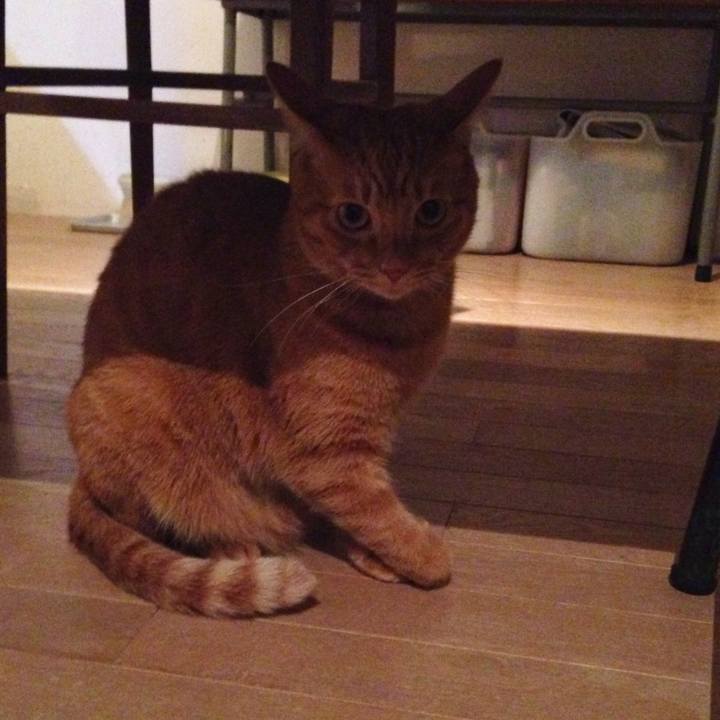 Ce02531b e270 4858 9ebc 5883dc000d3d