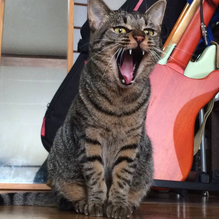 Ce02697e 6cfe 4764 8386 c9cffefc7dd2