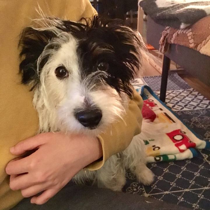 Ce029fe2 4a02 49c0 b445 ea5606ea4753