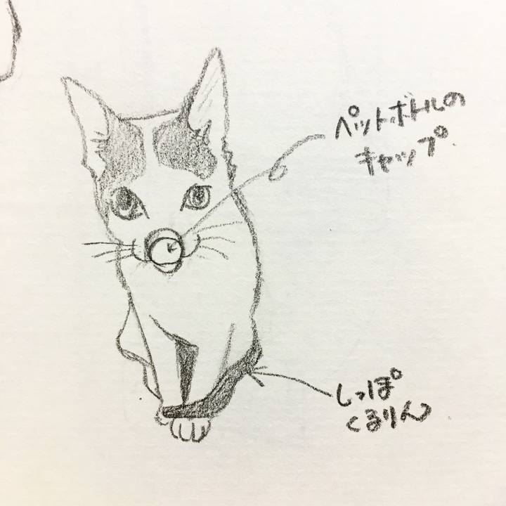 Ce02fc51 74db 4e04 9f5a ed9e5014a7f4