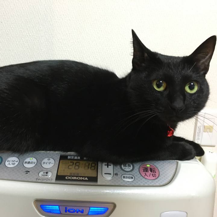 Ce030e85 0a3c 4a68 92f0 1ab2f21db74b