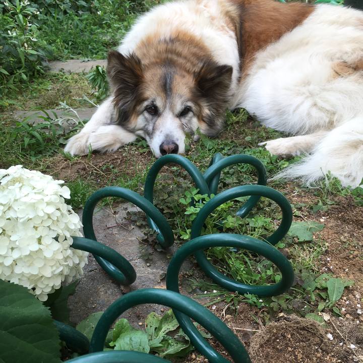 Ce03af98 6db8 4a49 a96b bdd91022796f