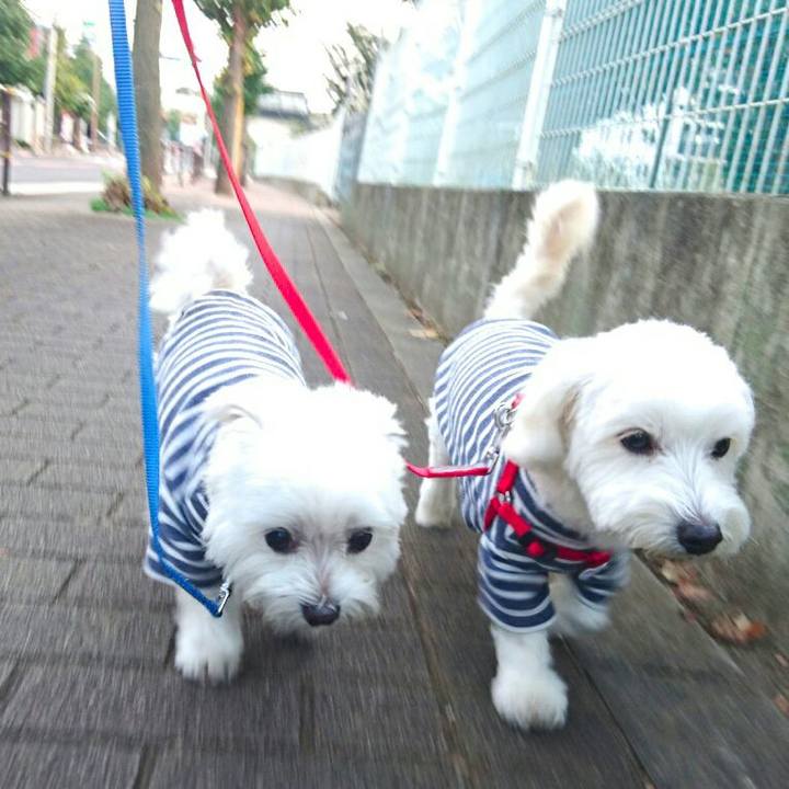 Ce03ea32 ae55 4d64 b06d 8ab37f4672ef