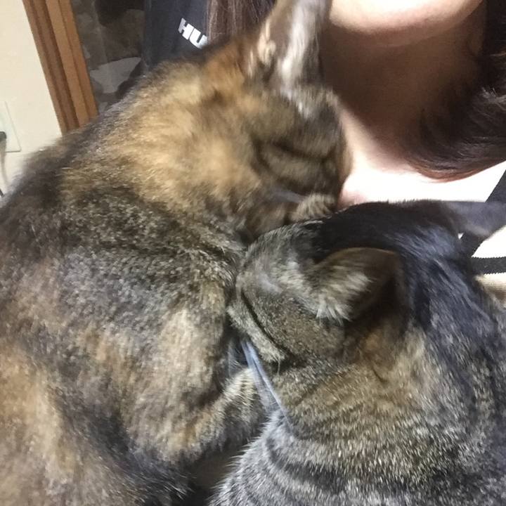 Ce0427a6 0e02 40d1 8321 85441496a14c