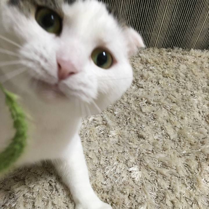 Ce043b79 68ea 463a 9b86 9e9308e89256