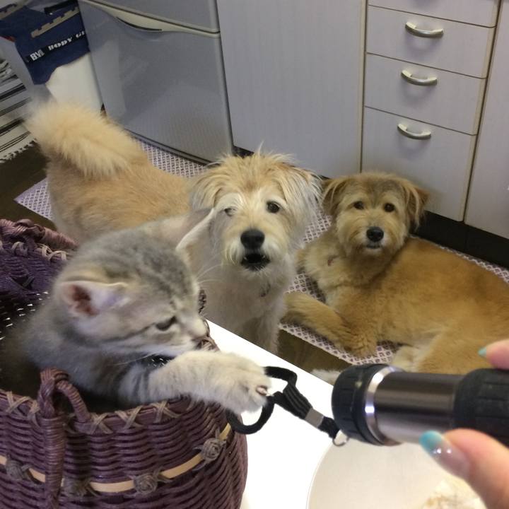 Ce0480af ffff 4caa 8a2a b2fd09c90627