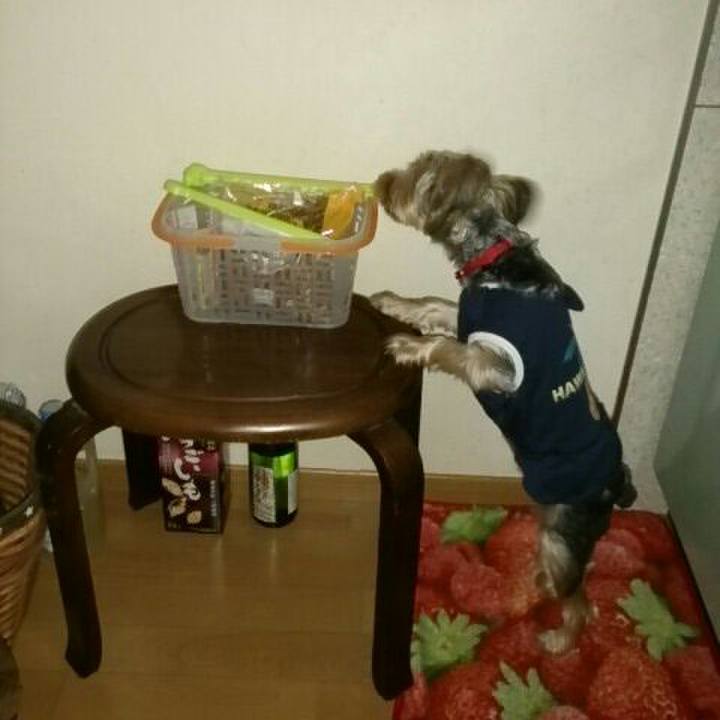 Ce04b7e0 8ee0 4892 aaa3 2fade9500e67