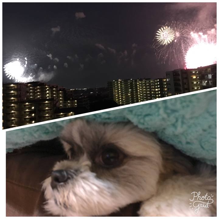 Ce04be12 e7bc 4a21 a158 d506cc2d2ec7