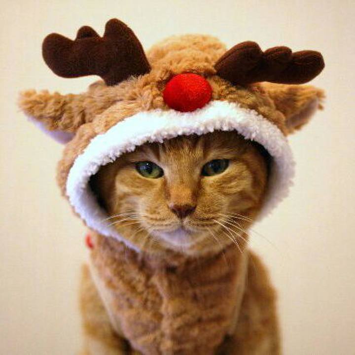 Ce04f8ef 60d3 416a bc0c b71bf187d15c