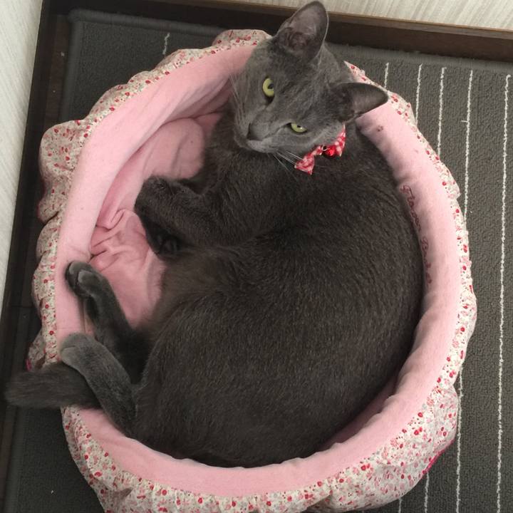 Ce058d32 b0fd 424c 9df8 17e49089a562