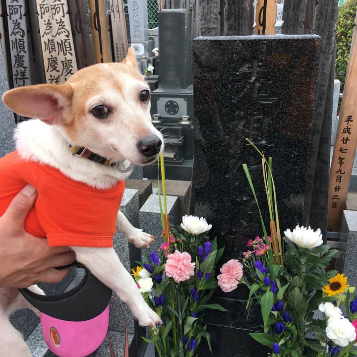 Ce060362 8530 443f b57c c4e0520daec2