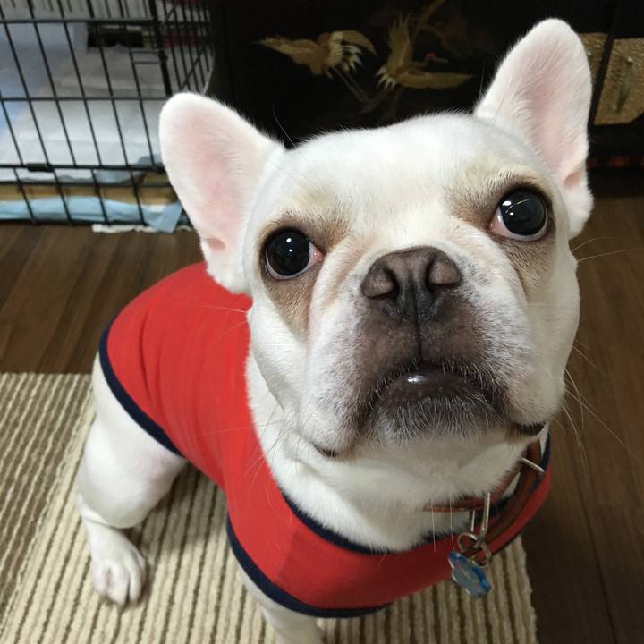 Ce062014 74a8 4936 83ff fc6fe2e67400