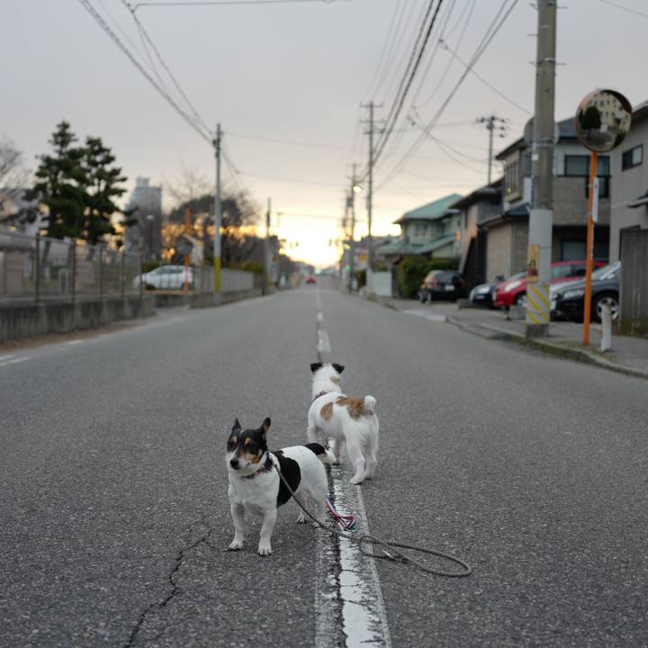 Ce08ad9b 630c 48e0 84cd 691fd6035aa0