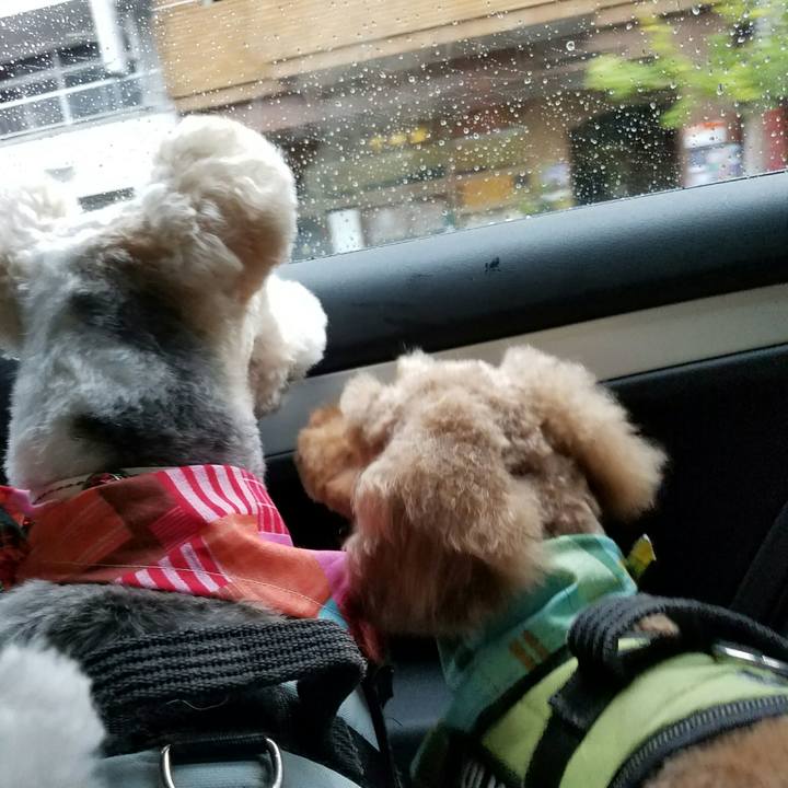 Ce08adfd 991d 4b1e 91da 4e2f07c19c34