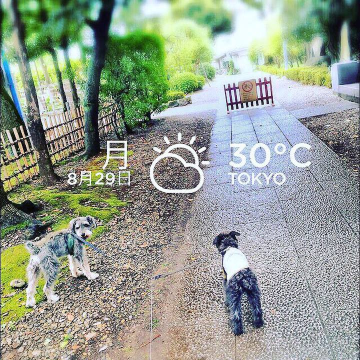 Ce08f737 ffe8 4307 bc79 1bc0b67f2b83