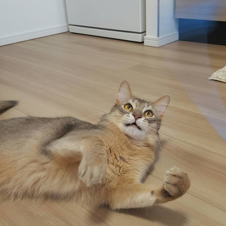 Ce096963 4e4d 4210 8c88 fb9704ed88b6