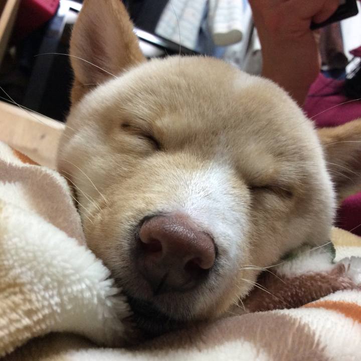 Ce0ab3ec a369 4f2b aae1 0f617a70f151