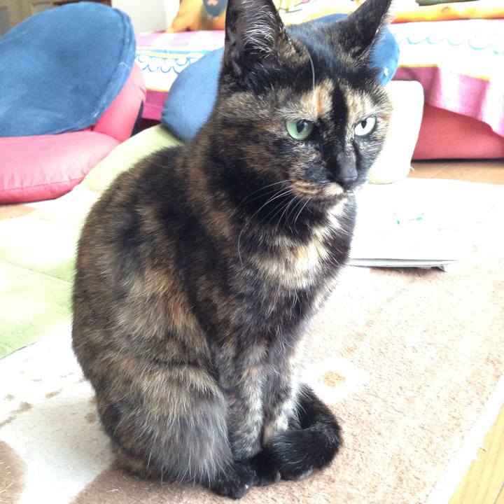 Ce0b9b8a d45b 47d8 81c4 2bcd1ec97da9