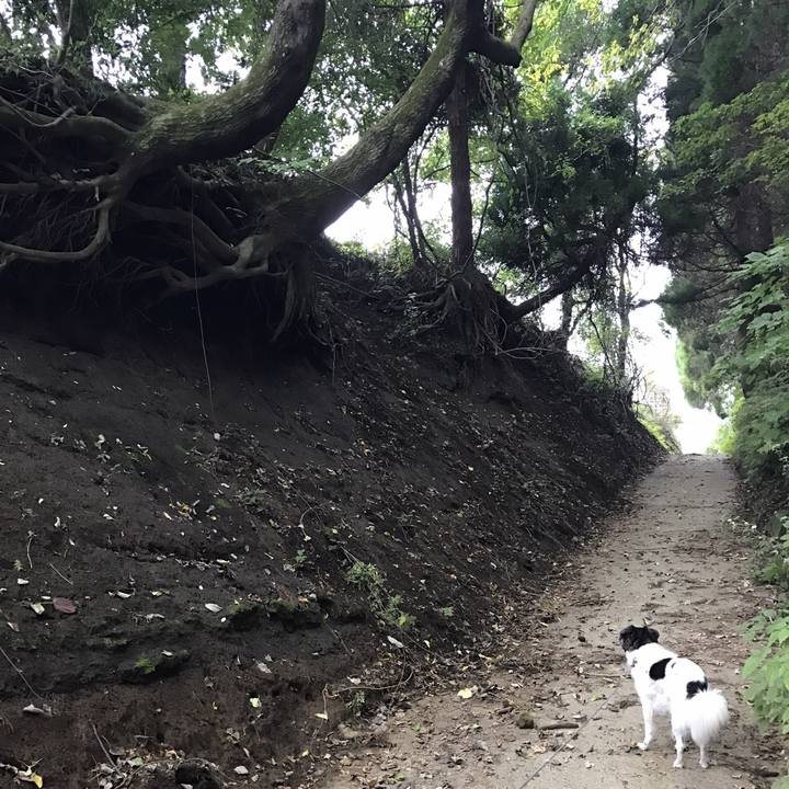 Ce0bc497 020e 460d aea6 bcbad13ba9c3