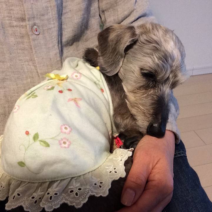 Ce0bedfb 82f7 4d95 83cb 9a7b3546aea3