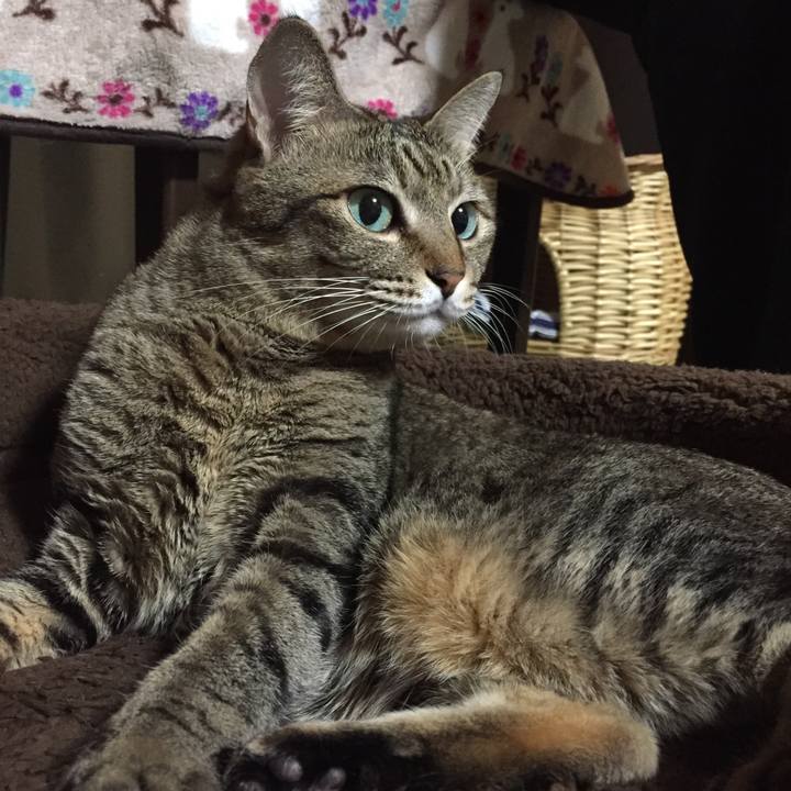 Ce0c37c4 a5a4 4c90 aeec 533aea0b155d