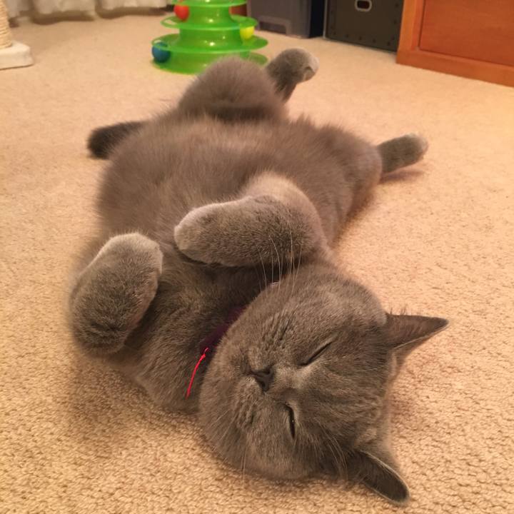 Ce0c654c c2f2 4d68 acc3 30709f566a0b