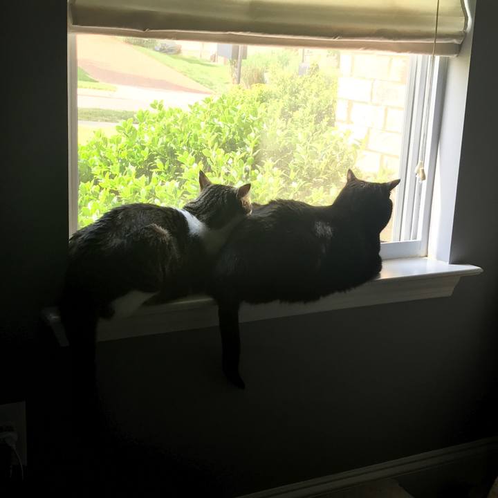 Ce0d30dc 39cd 4b80 8665 264f81caedb4