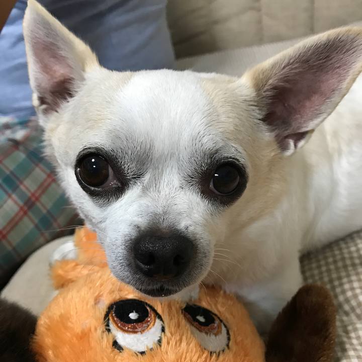 Ce0d7000 aea8 4e25 a9d2 1bfbd5133efb