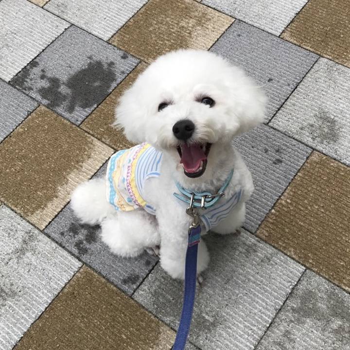 Ce0ead43 c971 471f 9e96 007f94af2bea