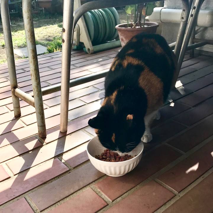 Ce0f4733 9287 46f5 9751 b2b6d60fea10