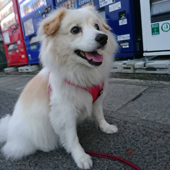 Ce1076b4 527d 49a2 818e d022624ec5ea