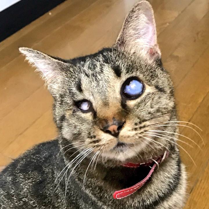 Ce10900c fb21 41cb af4d f53a8517d6c2