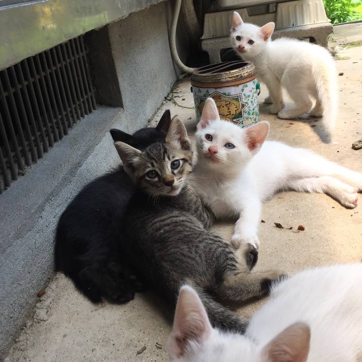 Ce109c5f 6561 42aa ae92 fa655fddc965