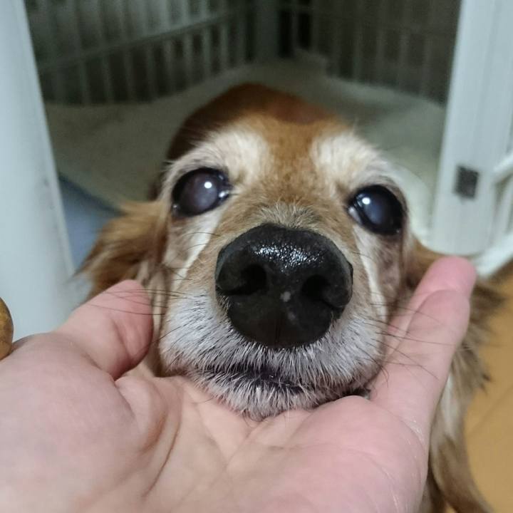 Ce10bb75 cd60 4fcc 85da c387e9519a3c