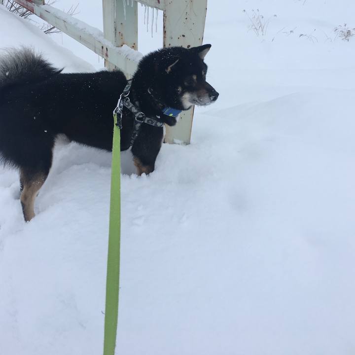 Ce1126a0 58eb 4a88 adc3 d9aeafc045e6