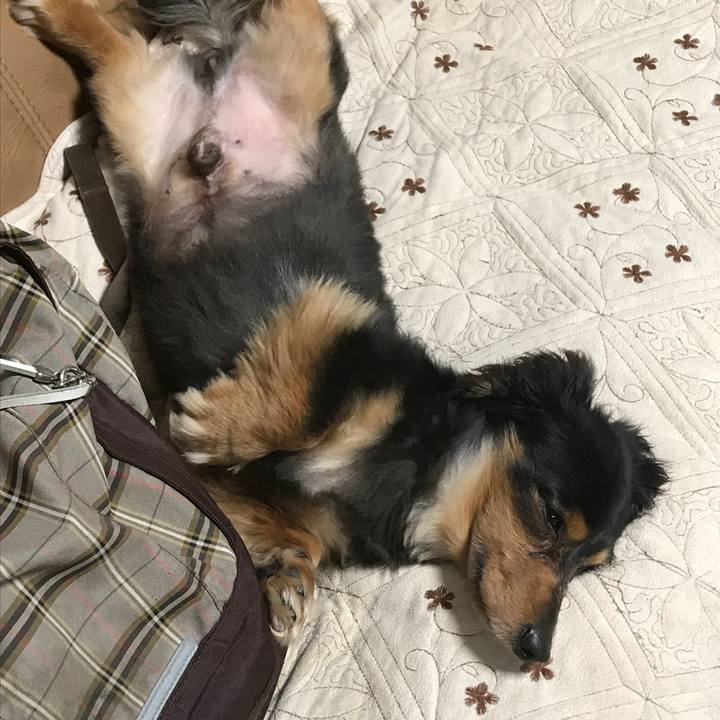 Ce118ee2 c6e2 4453 97ec 6b86306ea22a