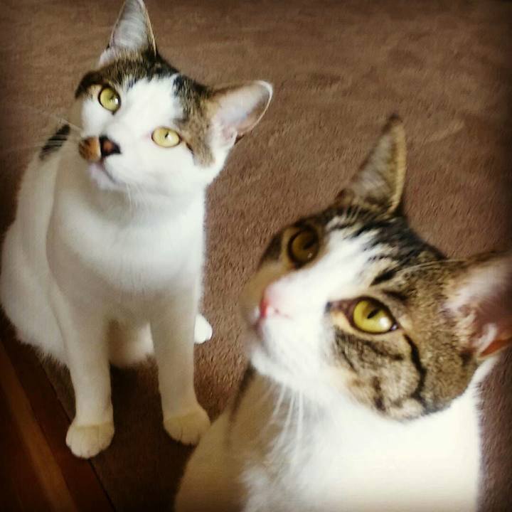 Ce121801 4f65 4a41 80f8 39055cefcbc0