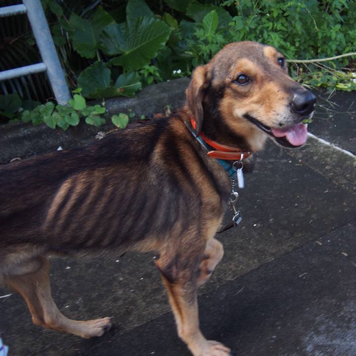 Ce122374 a38d 457d 94f3 69551481cc35