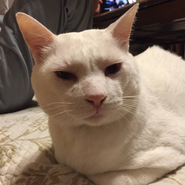 Ce129043 98e6 4390 b207 7f1757b8e0d3