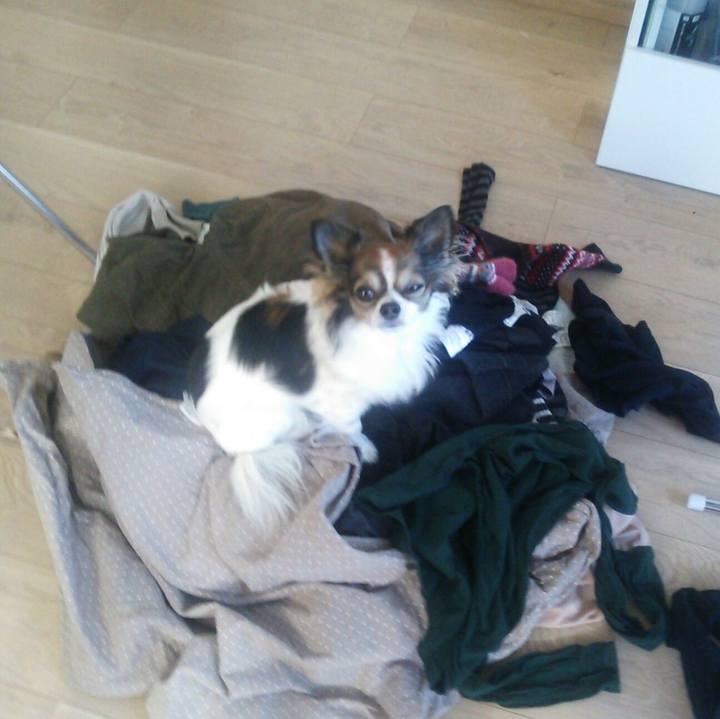 Ce13037f 11ad 404d b06d e8e929bd8528