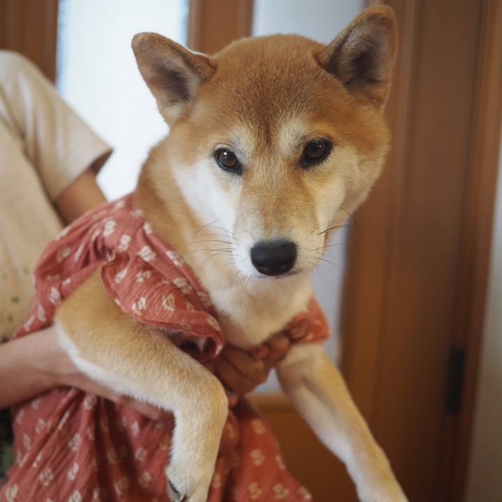 Ce139d8d 7530 4beb 924b 537107aee7be