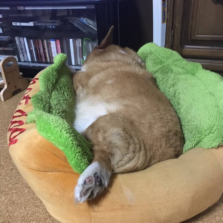 Ce13acb0 f50a 434f 8029 ef4724cae4cd