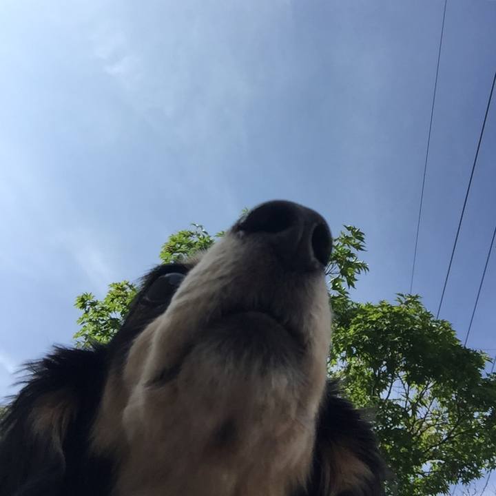 Ce13d7ea 0805 4210 9bb6 0f3b0366727a