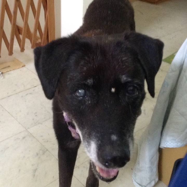 Ce14261a 214c 484b b681 ec475b5dd5d0