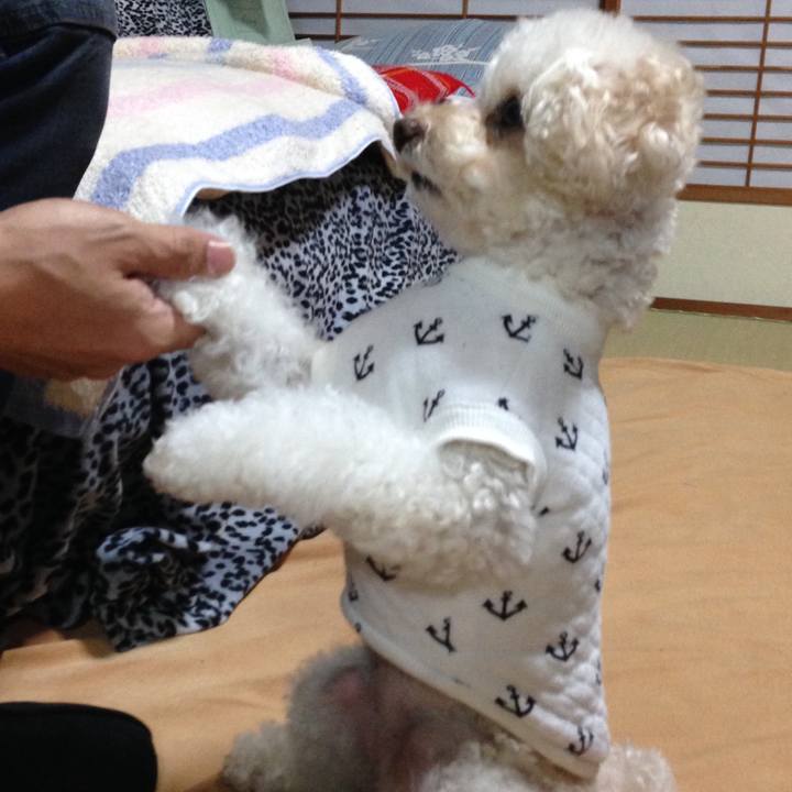 Ce143890 f5b0 4f5a a4d7 5b74b9d87fe3